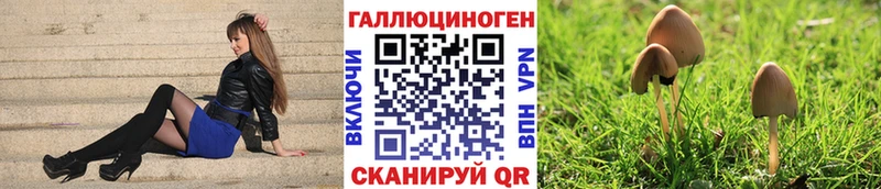 Купить где  Нюрба  Галлюциногенные грибы ЛСД 