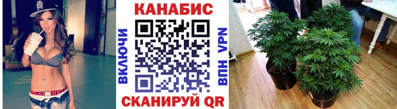 Шишки марихуана Ganja  Купить  Нюрба 
